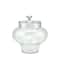 11" Transparent Segmented Glass Container with Lid